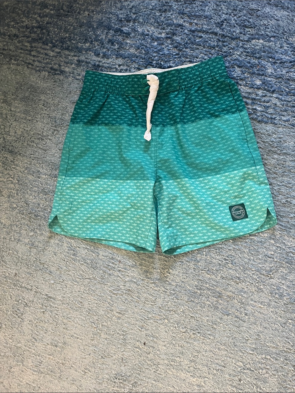 NWT Abercrombie and Fitch Kids Boys 11-12 Green Swim Trunks